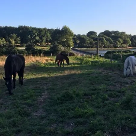 Les Fermes De Kercadoret *